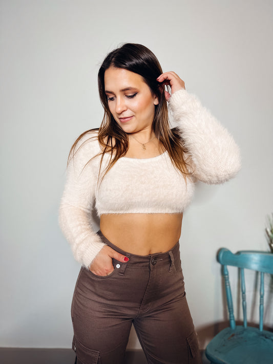 Champagne Fuzzy Knit Cropped Sweater